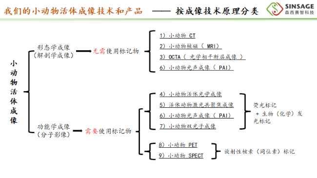 AI改图-图片 11-650x365.png