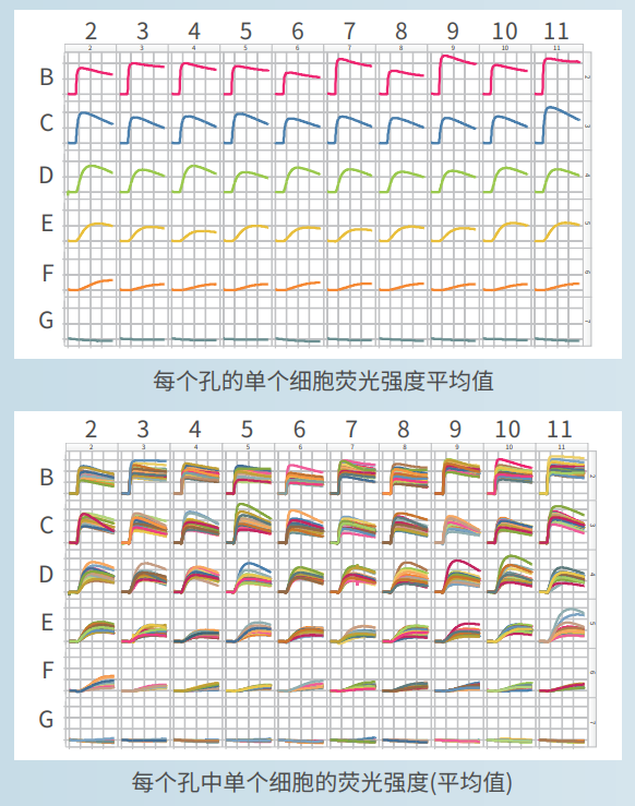 应用2：离子霉素浓度依赖性钙反应-2.png