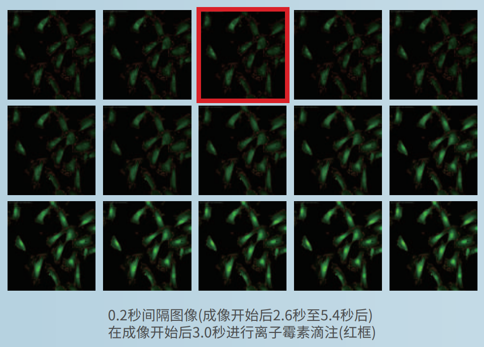 应用2：离子霉素浓度依赖性钙反应.png