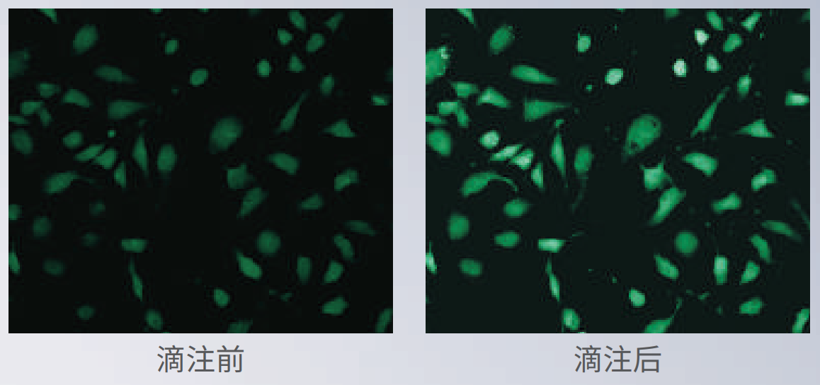 应用2：动力学分析.png