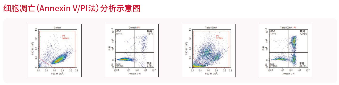 应用2-细胞凋亡.png