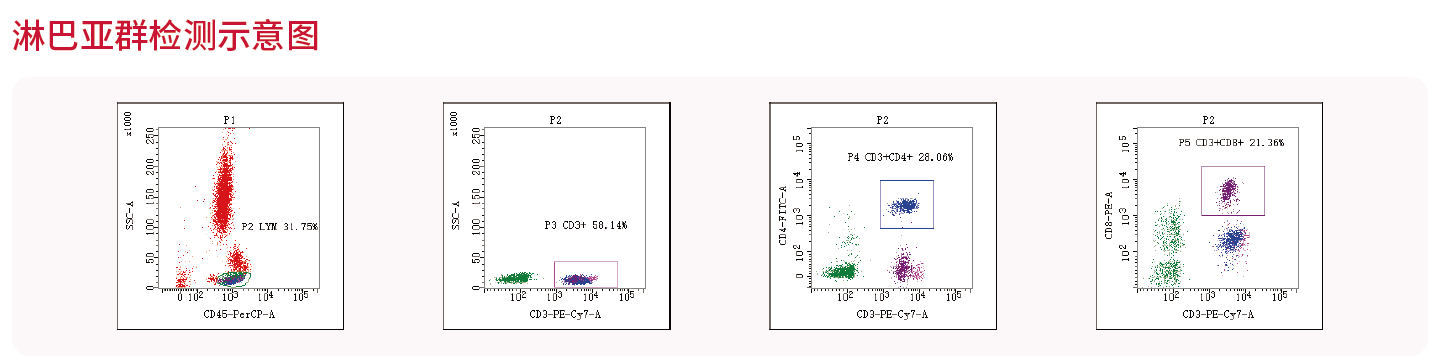 应用4-淋巴亚群.png