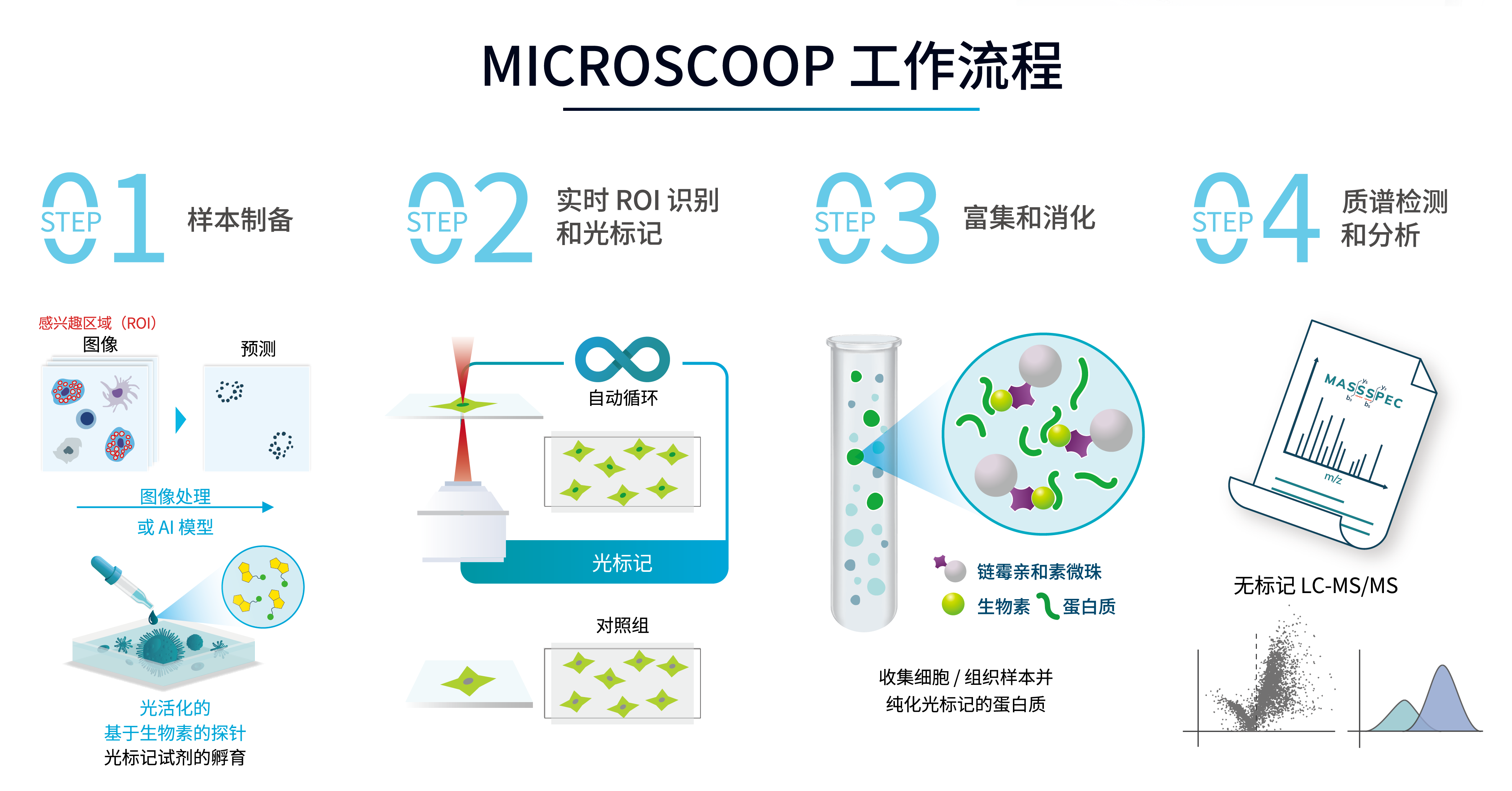 产品4步流程图（中文）.png